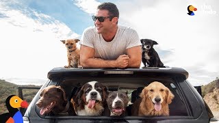 Man and SIX Rescue Dogs Travel The Country In His RV | The Dodo