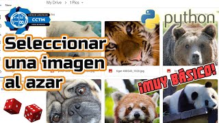 ️ + ¿Cómo mostrar imágenes al azar? | IPython, Display | Python | ¡Muy fácil!