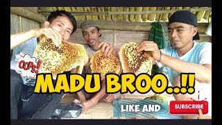 PETUALANGAN SERUU.!!! Pertama Kalinya Berburu Madu Lebah Tawon Ke Hutan.