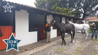 ORGANIZACIÓN DE POLO STETA TEAM