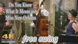 Do You Know What It Means to Miss New Orleans  (cover 4K Video) by Free Swing