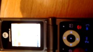 Motorola W377