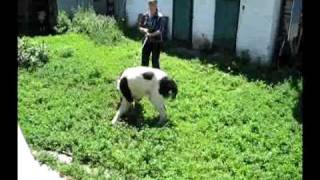 МАМЛЮК-в гостях пк  "РМЗЕС" вл Дубяго..