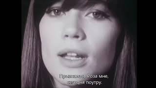 Перевод песни Mon amie la rose- Françoise Hardy - Перевёл Глеб Добровольский (Глеб ибн аль Рашид)