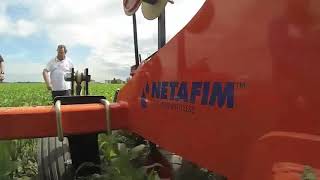 Кукуруза на капельном орошении DEKALB & NETAFIM