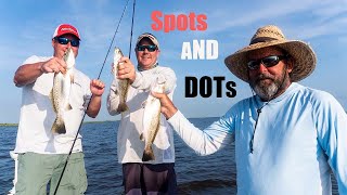 Dots and Spots in Big Lake