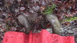 queen wearing wellies