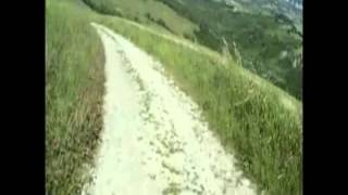 giungla dei castagni_mpeg2video