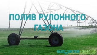 Рулонный газон в Самаре. Процесс поливки газона. Sagama Green.