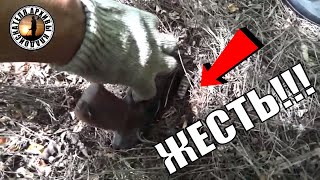 НАШЕЛ СТВОЛ И ОЦЕПЕНЕЛ ОТ НАХОДКИ !!!! КОП ОГОНЬ!