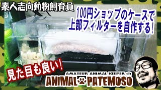 【おすすめ工作】100円ショップのケースで30cm水槽用の上部フィルターを自作した!【DIY】【熱帯魚】【アクアリウム】