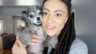 How Long Will I be Doing YouTube?! September (but really late) Q&A
