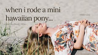 Vegan Rides A Mini Hawaiian Pony