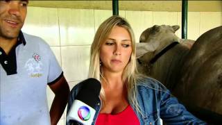 Tufinho, o bezerro com deficiência, ganha nova chance