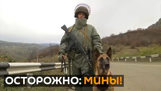 Работы на годы вперед: российские саперы в Нагорном Карабахе