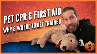 Pet First Aid and Pet CPR - WHY and HOW to get training
