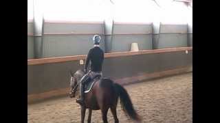 Jens Fredricson Unghäst Clinic Sikehamn