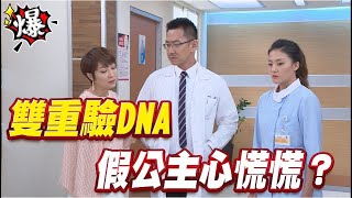 《多情大爆爆》多情城市 EP272 雙重驗DNA 假公主心慌慌？