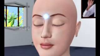 The Life force Experience - Tamil
