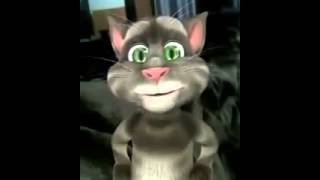talking tom tom cat Funny Pakistani government