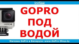 GoPro под водой и подводная съемка на GoPro? by gopro-shop.by