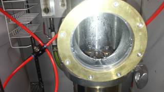 Still Dragon Dash - 5 plate tails run out