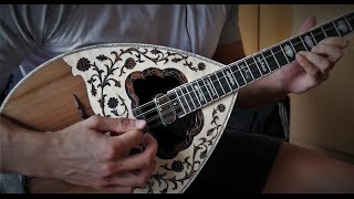 Themis Bouzouki - Se agapisa sto megisto bathmo | Antonis Vardis (cover)