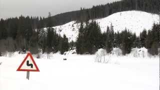 Atmosfera la Winter Rally 2013