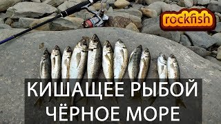 Кишащее ставридой Чёрное море. Клёв как из пулемёта. Как и на что ловить. Рокфишинг в Анапе