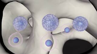 Genenta’s HSCs Gene Therapy Technology for Tumor Treatment