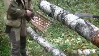ПРОСТОЙ ПРИЁМ ПЛЕТЕНИЯ из БЕРЕСТЫ - Лесные Приблуды, Ловушки и т. д.