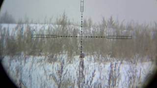 Охота с пневматической винтовкой вид через прицел