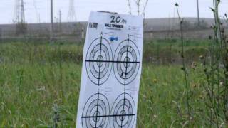 Toz 8 sniper 20m