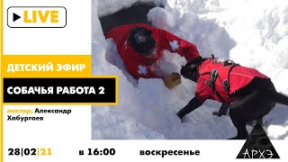Детский эфир "Собачья работа 2" в рамках рубрики "Путешествия с натуралистом"