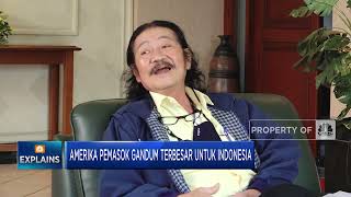 Ini Sebenarnya Penyebab Kelangkaan Gandum Dunia