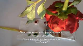 Мастер-класс Пион Акрон Флористическая глина (холодный фарфор)