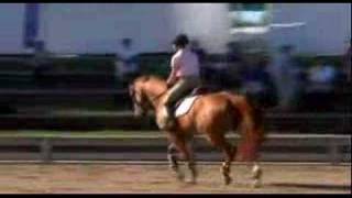 George Morris: Horsemastership Flatwork