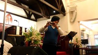 Andantino from Flute and Harp Concerto in C major by W.A.Mozart.