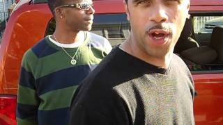 MOBBING IN LAURELTON