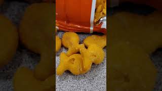 Eating Cheesr and having a stroke.