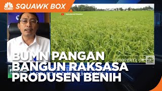 Pertani & SHS Melebur, BUMN Pangan Bangun Raksasa Produsen Benih
