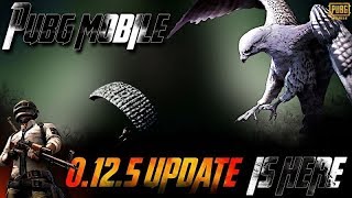 0.12.5 update PUBG MOBILE | NOOB GAMEPLAY | #Ragzy