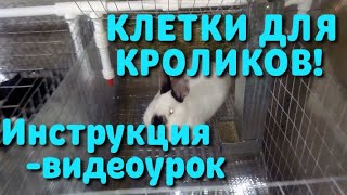 Клетки для кроликов от А до Я своими руками с чертежами подробно.