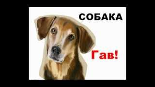 Муз. презентация "Кто как говорит?" (Алиса Самбурская)