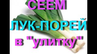 Моя Семья.Сеем лук-порей в "улитку" по методу Юлии Миняевой
