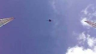 Orlando Sling Shot Leao