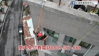 移居|鳥類|候鳥|油汙|排風罩|鐵皮屋|貨櫃屋|透天|大樓|社區|村落|路燈|燈塔|燈泡|賽鴿|麻雀|表皮|牆面|天花板|瓦片|頂樓|屋頂|廁所|浴室|鳥網|達人|專家|業務|就業|找工作|北部|天氣