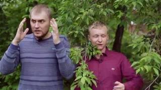 НЕМАГИЯ про ГОНКИ НА ГЕЛИКЕ. СЫН Вице-президента ЛУКОЙЛА.