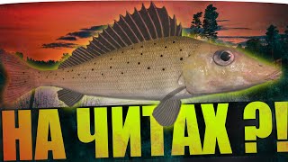 МЕНЯ ЗАБАНЯТ ЗА ЧИТЫ ● ВЕТРОВ ЧИТЕР?! ● Русская Рыбалка 4