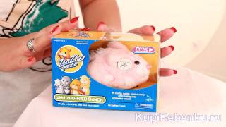 Zhu Zhu Pets, Лесной зверёк, Sweetie